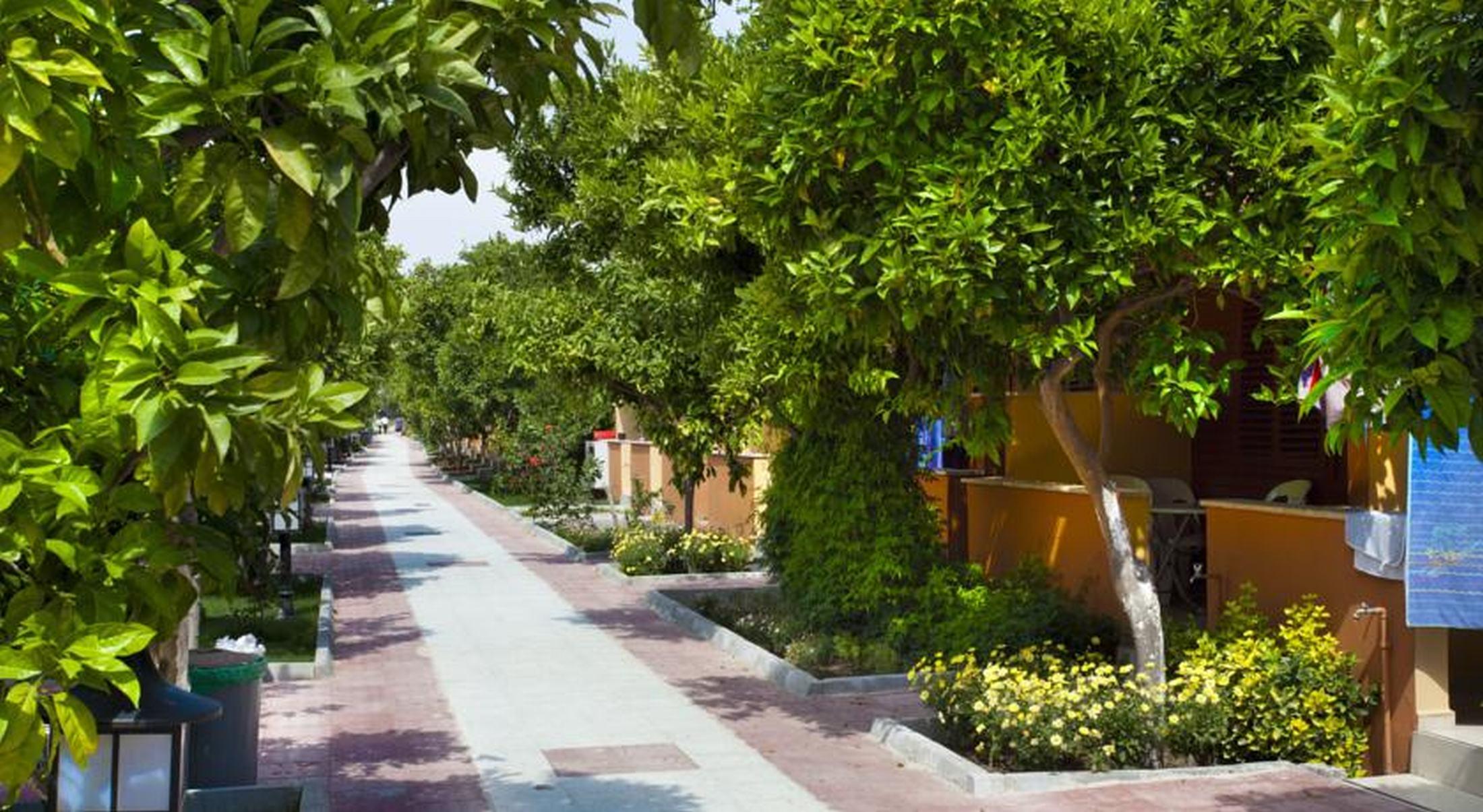 Ozlem Garden Hotel Side Exterior foto