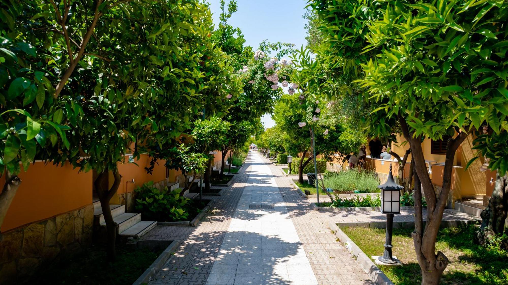 Ozlem Garden Hotel Side Exterior foto